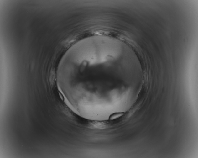 X0000086220189200704191746