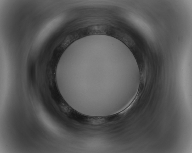 X0000086220191200704191746