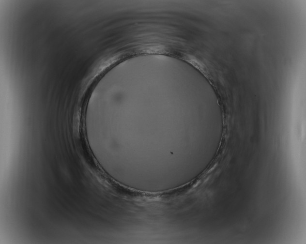 X0000086220194200704191745