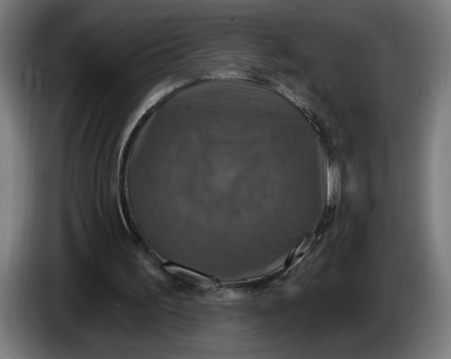 X0000086220195200704191745