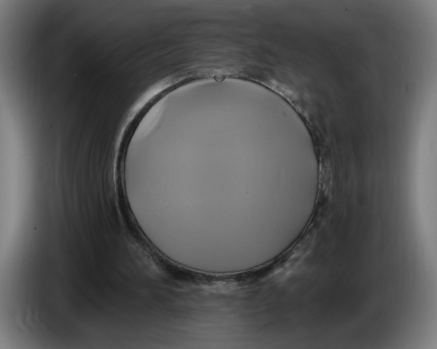 X0000086220196200704191745