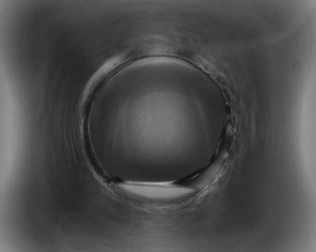 X0000086220197200704191745