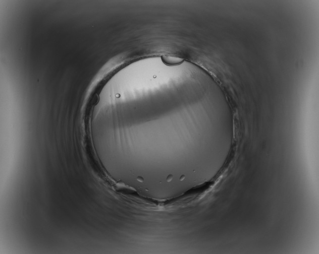 X0000086220198200704191745