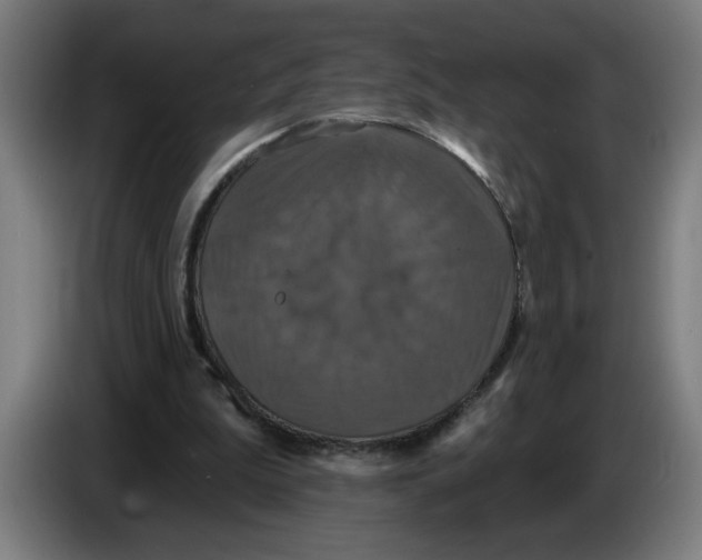 X0000086220199200704191745