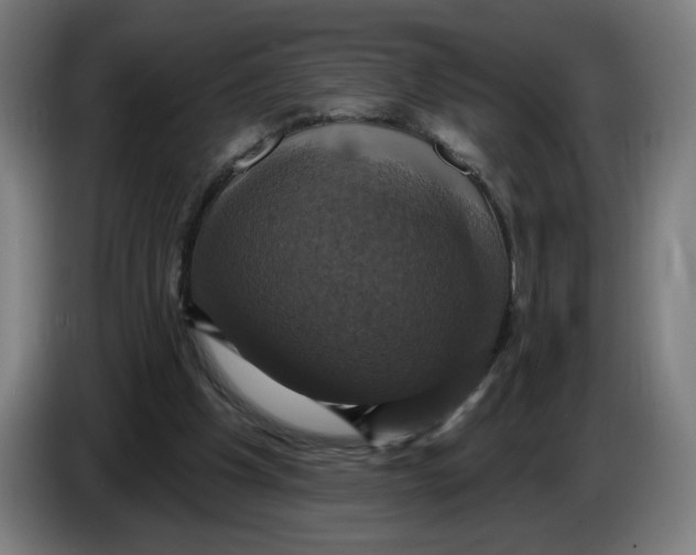 X0000086220201200704191745