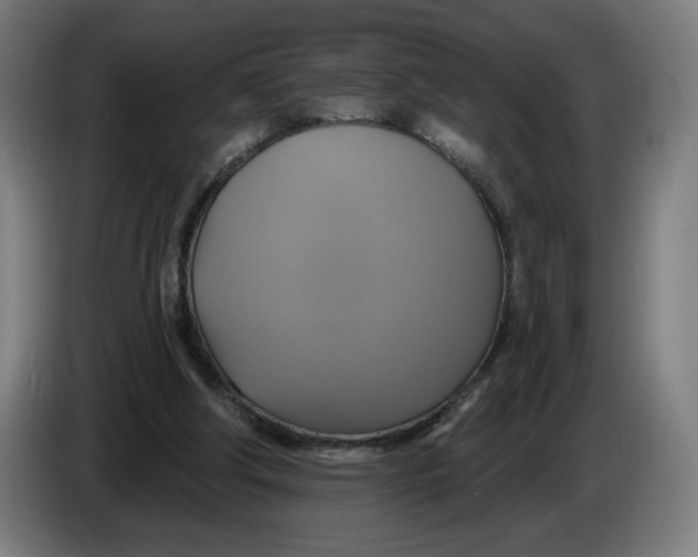 X0000086220202200704191745