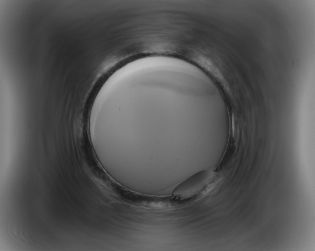 X0000086220204200704191745