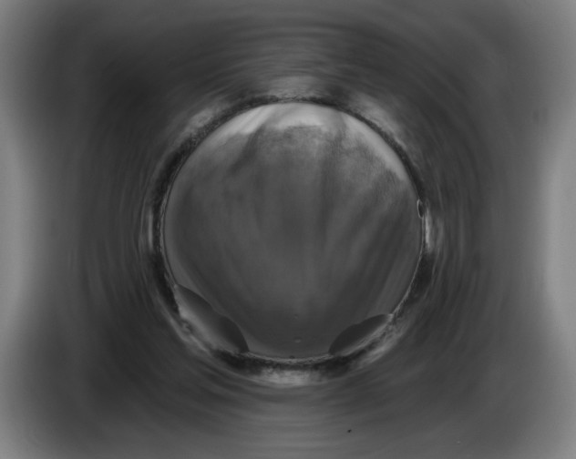 X0000086220205200704191745