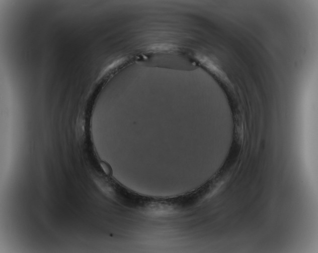 X0000086220207200704191745