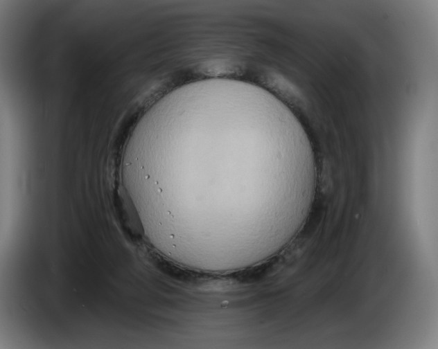 X0000086220210200704191745