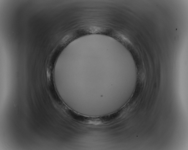 X0000086220214200704191745