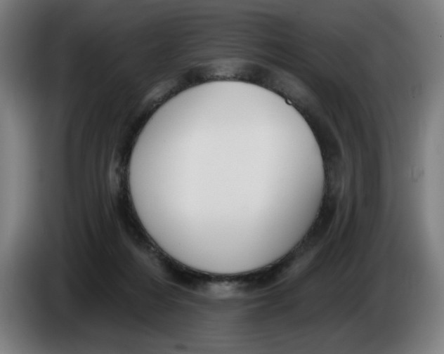 X0000086220216200704191745