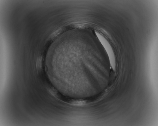 X0000086220217200704191745