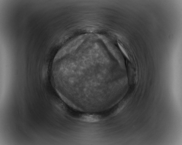 X0000086220221200704191745