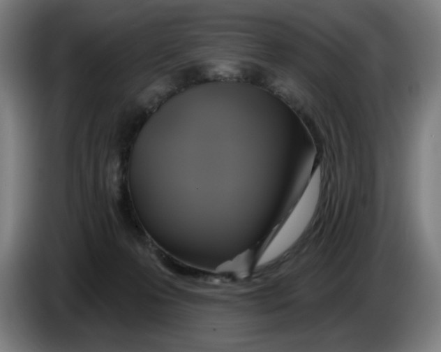 X0000086220223200704191745