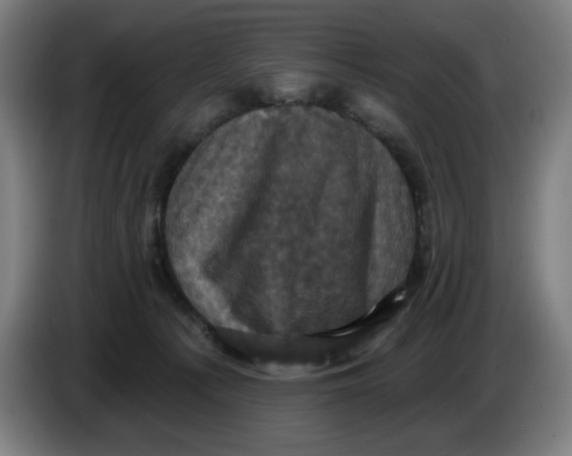 X0000086220225200704191745