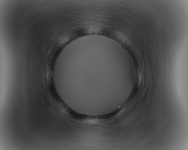 X0000086220228200704191745