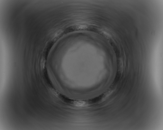 X0000086220230200704191745