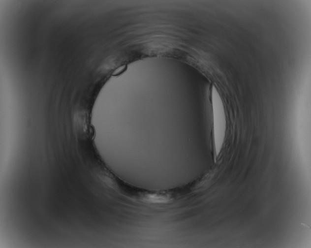 X0000086220232200704191745