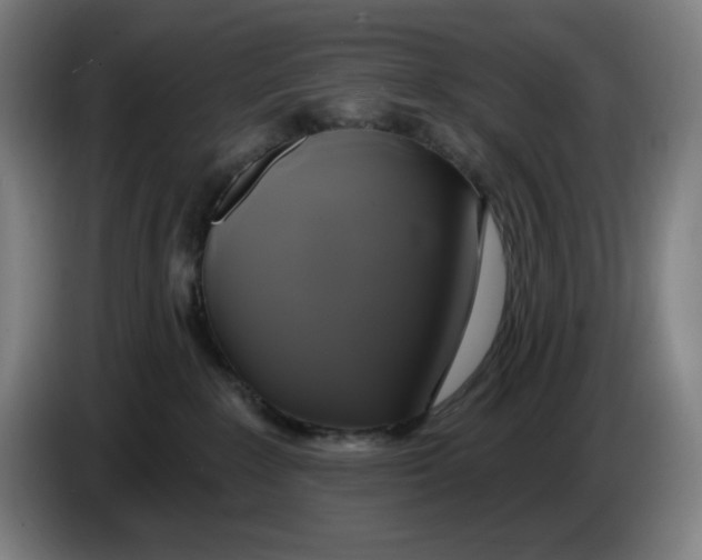 X0000086220235200704191745