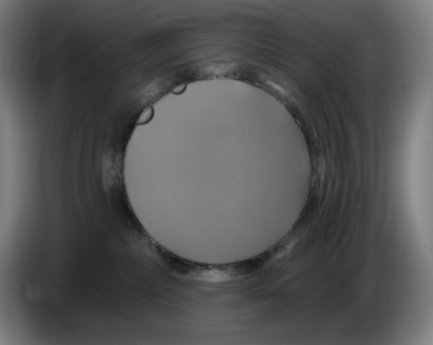 X0000086220236200704191745