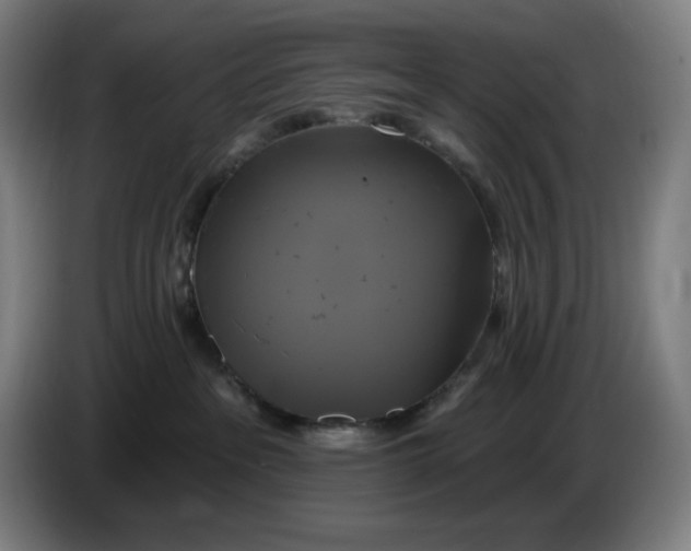 X0000086220237200704191745