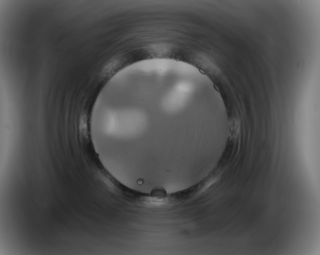 X0000086220238200704191745