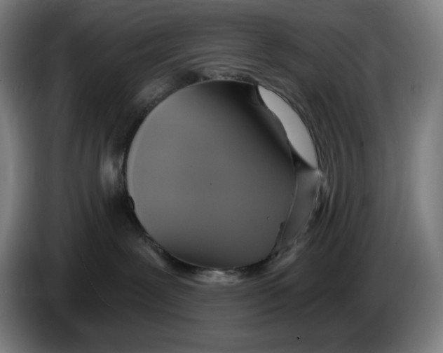 X0000086220239200704191745