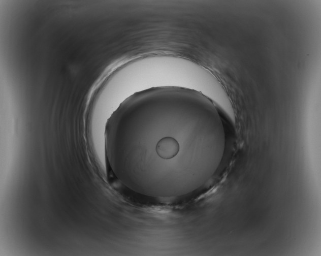 X0000086220244200704191744