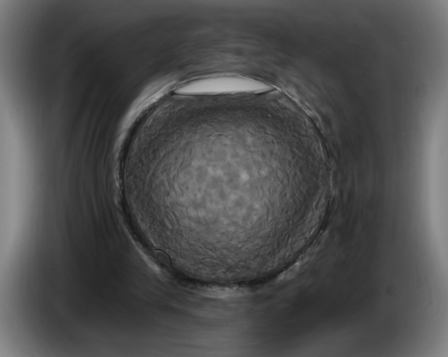 X0000086220245200704191744