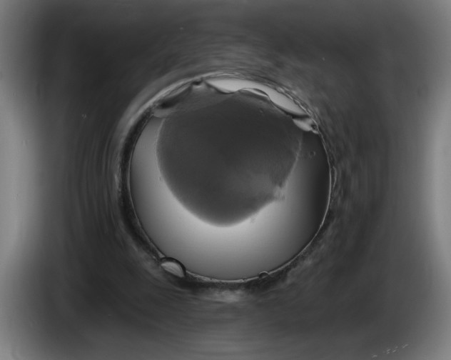 X0000086220247200704191744