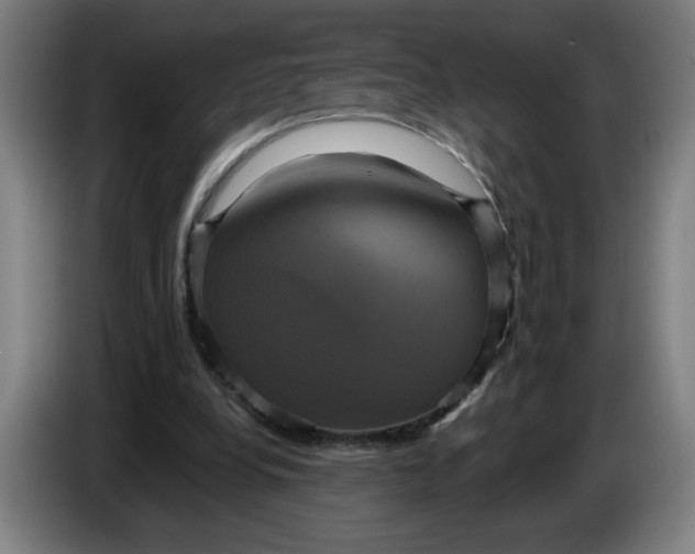 X0000086220248200704191744