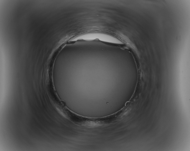 X0000086220250200704191744