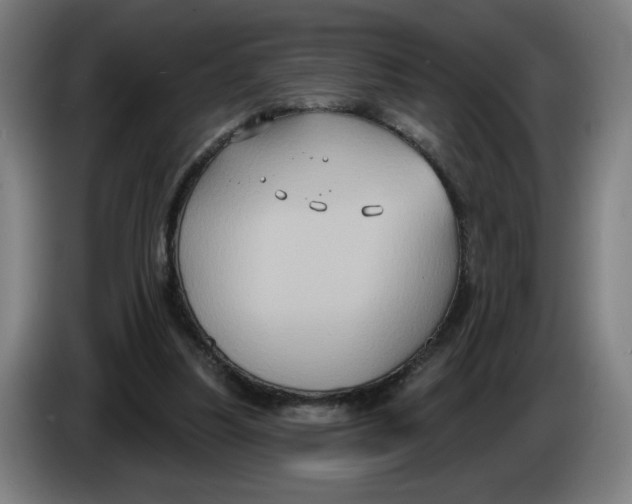 X0000086220251200704191744