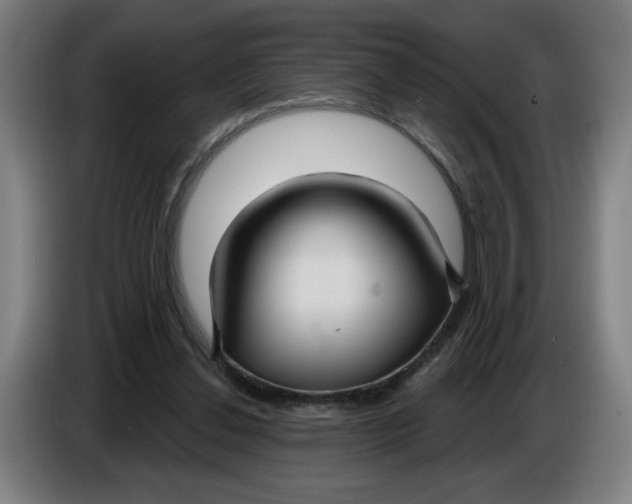 X0000086220252200704191744