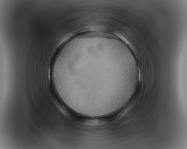 X0000086220253200704191744