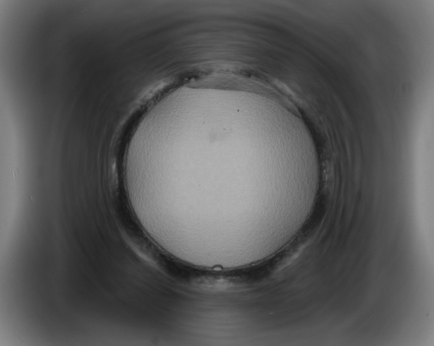 X0000086220254200704191744