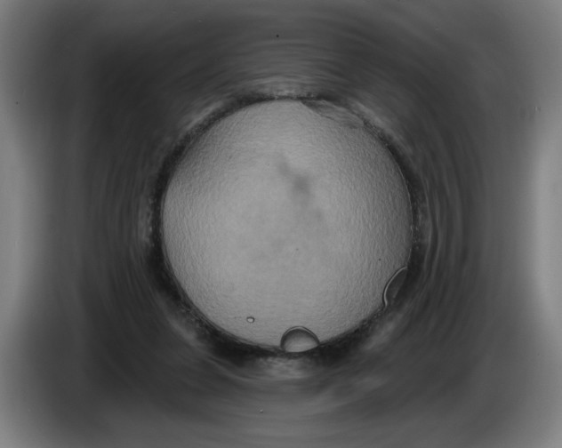 X0000086220255200704191744