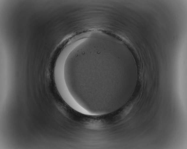 X0000086220256200704191744