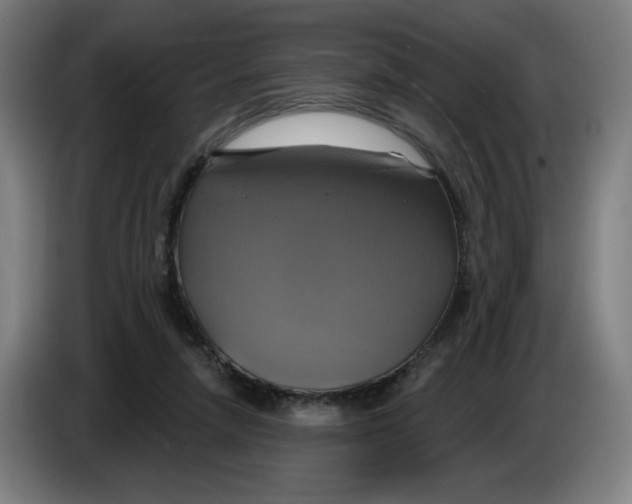 X0000086220258200704191744