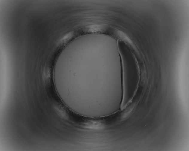 X0000086220260200704191744