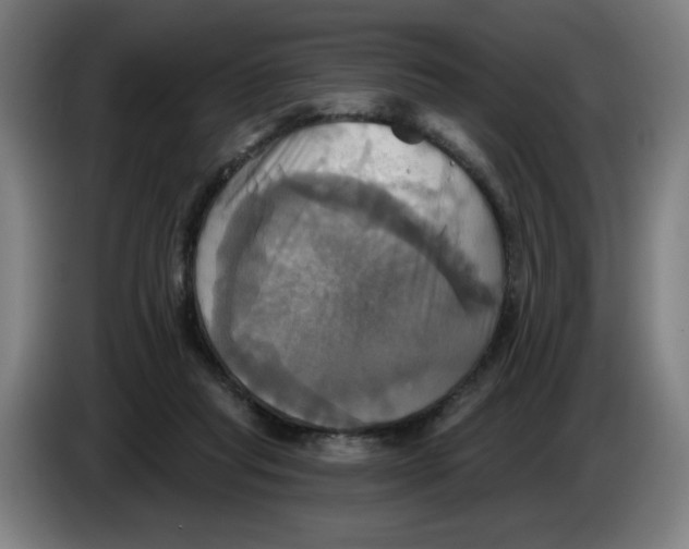 X0000086220261200704191744