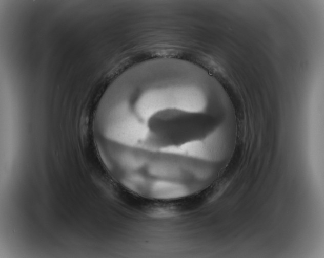 X0000086220263200704191744