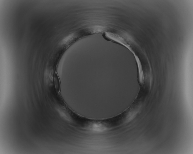 X0000086220264200704191744