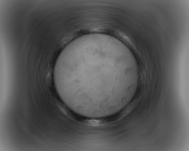 X0000086220265200704191744