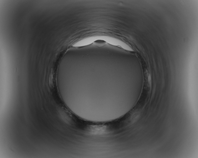 X0000086220266200704191744