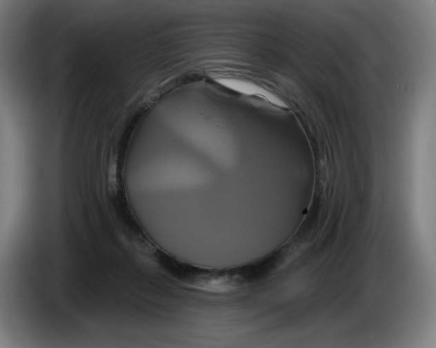 X0000086220267200704191744