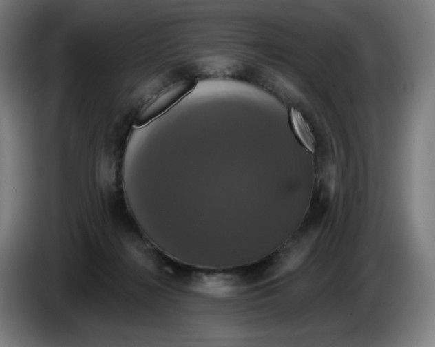 X0000086220268200704191744