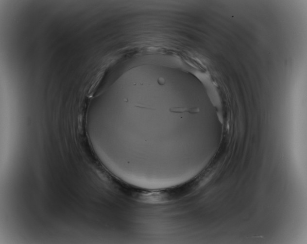 X0000086220269200704191744