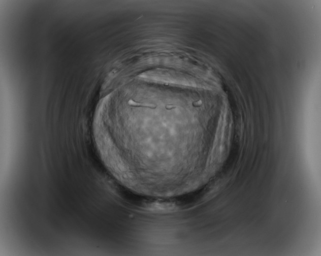 X0000086220270200704191745